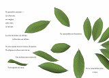 {danceforplants en Ariège}, 2019 (p. 66-67)