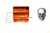 {parcelles}, 2008-2010