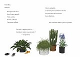 {danceforplants en Ariège}, 2019 (p. 24-25)