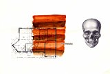 {parcelles}, 2008-2010