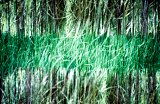 {paysage chronique}, 2013