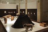 Vue de l'exposition La Grande Évolution