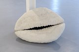 {Coquillage II}, 2012