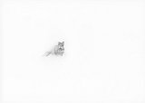 {Chasseurs flous}, 2006