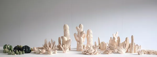 série {Plantes Grasses}, 2013