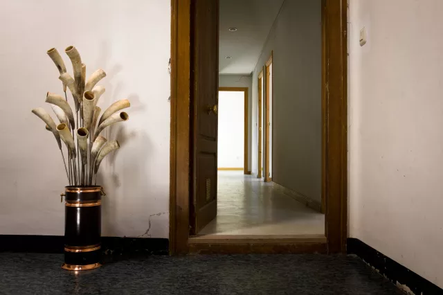 {Bouquet de cornes}, 2011