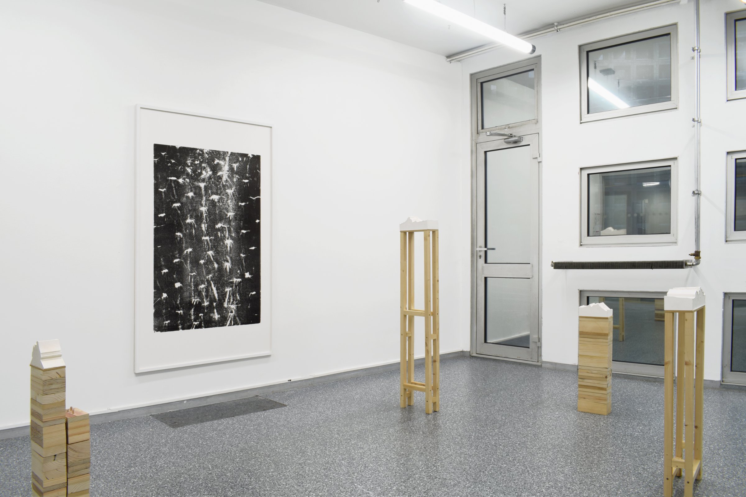 Vue de l'exposition Emprunter, L'aquarium, LP2I, collectif Acte Au mur : Épaisseur d'écorces ou l'empreinte d'un visible, 2016-2018