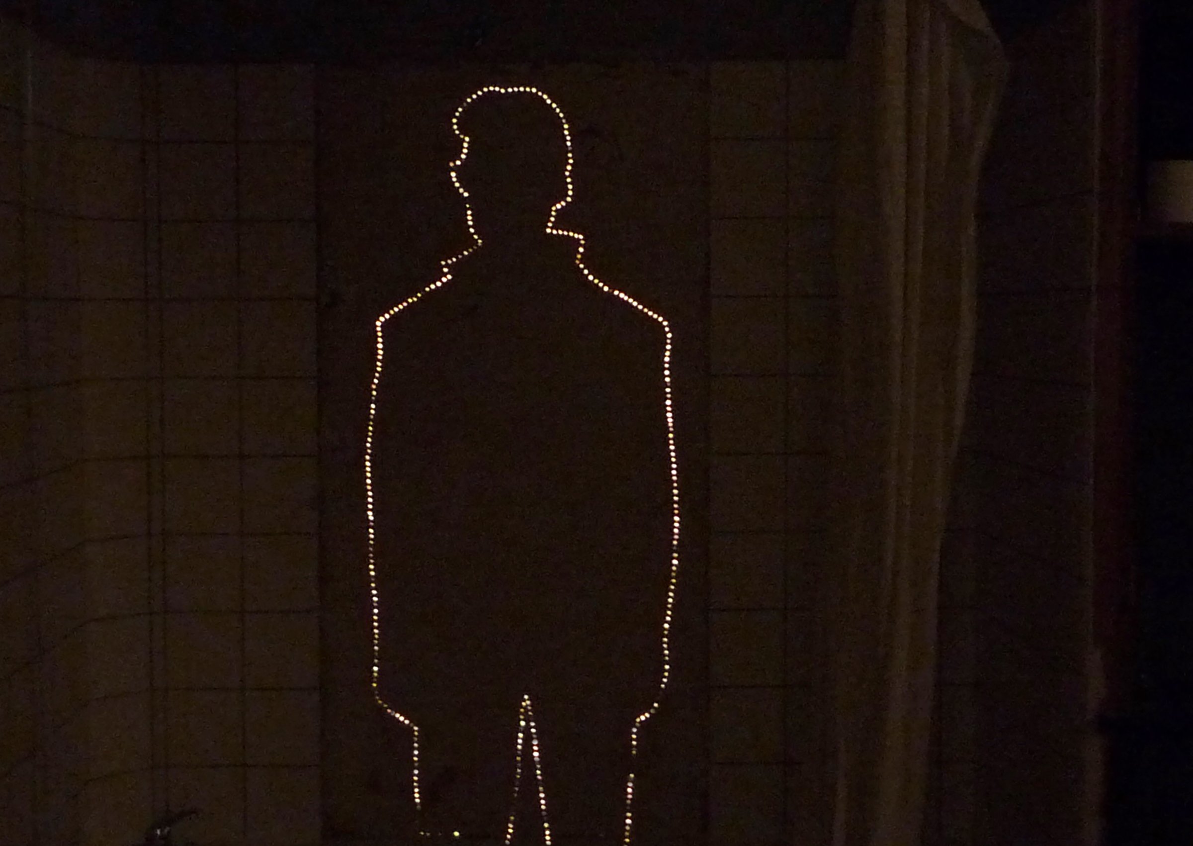 {Adiós Canihac}, 2009