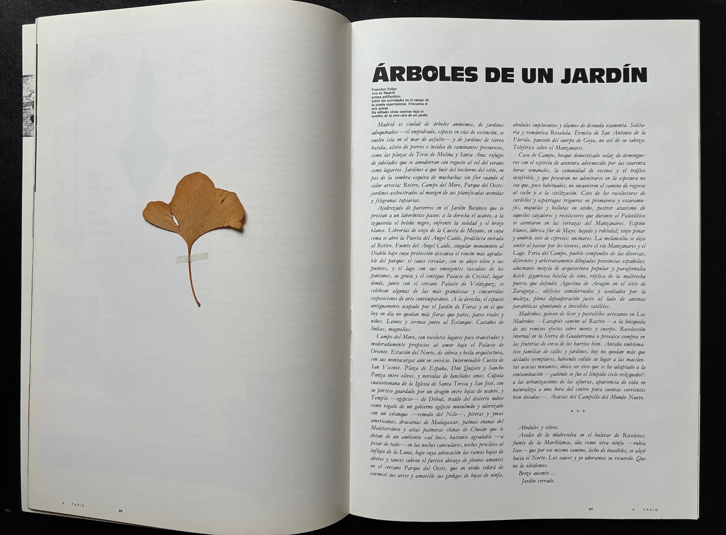 Francisco Felipe, {Árboles de un jardín}