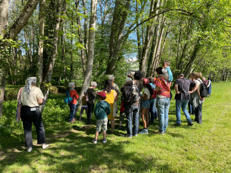 À la recherche de traces de castors le long de la Vrille avec les habitant·es de Saint-Amand-en-Puisaye le 30 avril 2025