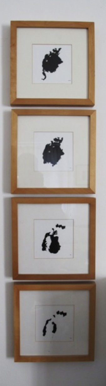 {Mer d'Aral}, 2010