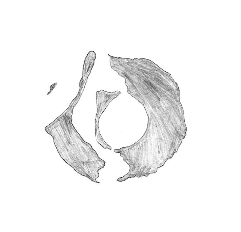 {Carte de Moana Fa'a'aro}, 2008