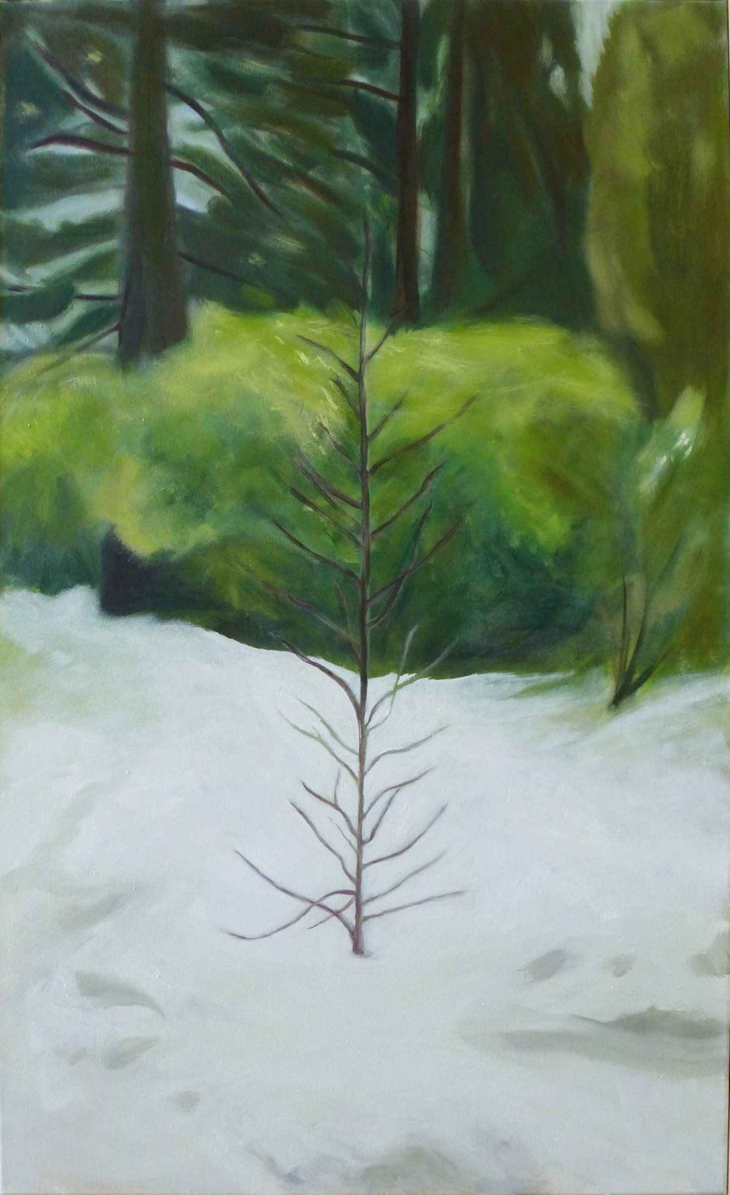 {L'arbre d'Alexandre}, 2024