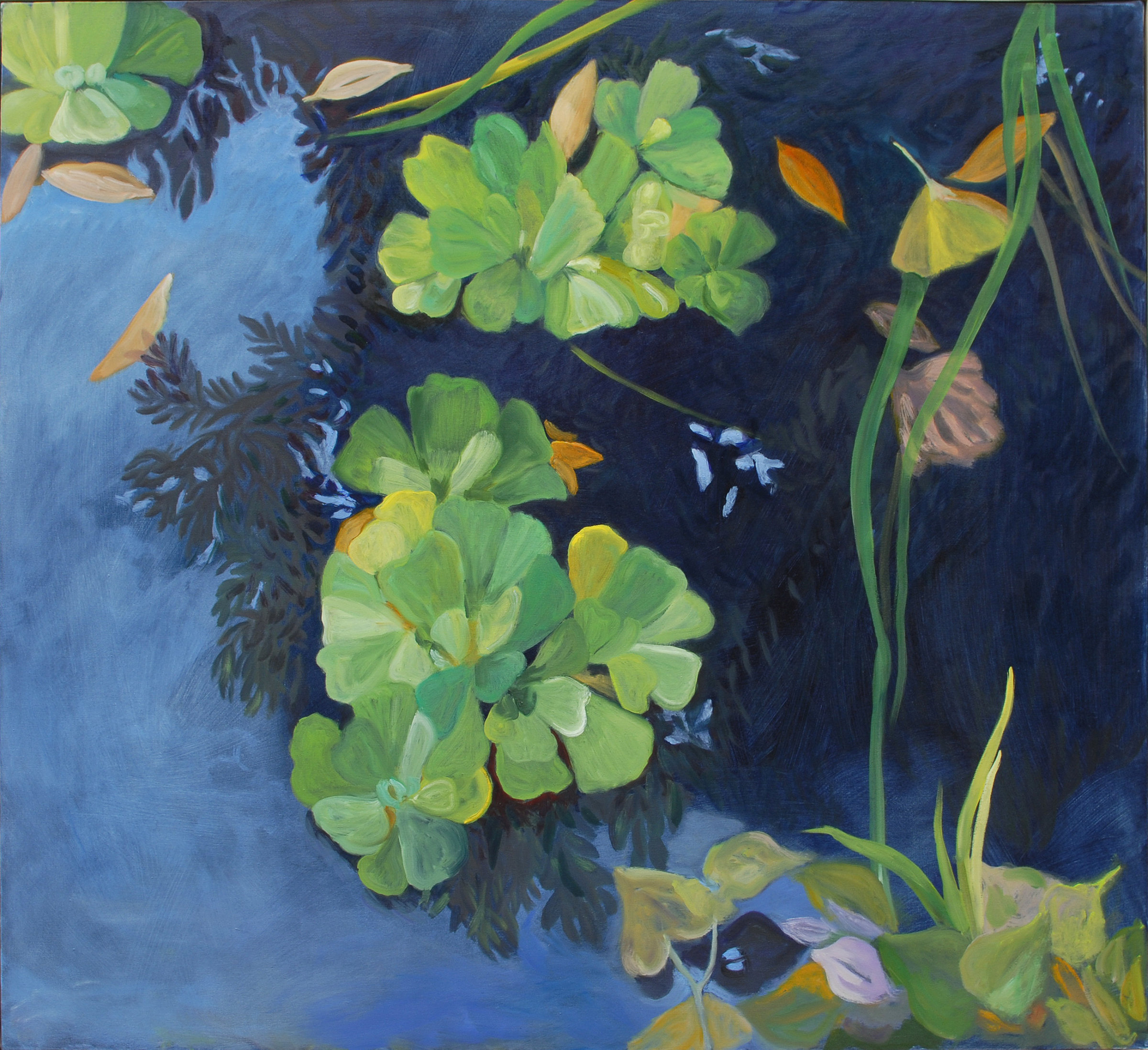 {Bassin de la Belle Étoile}, 2018