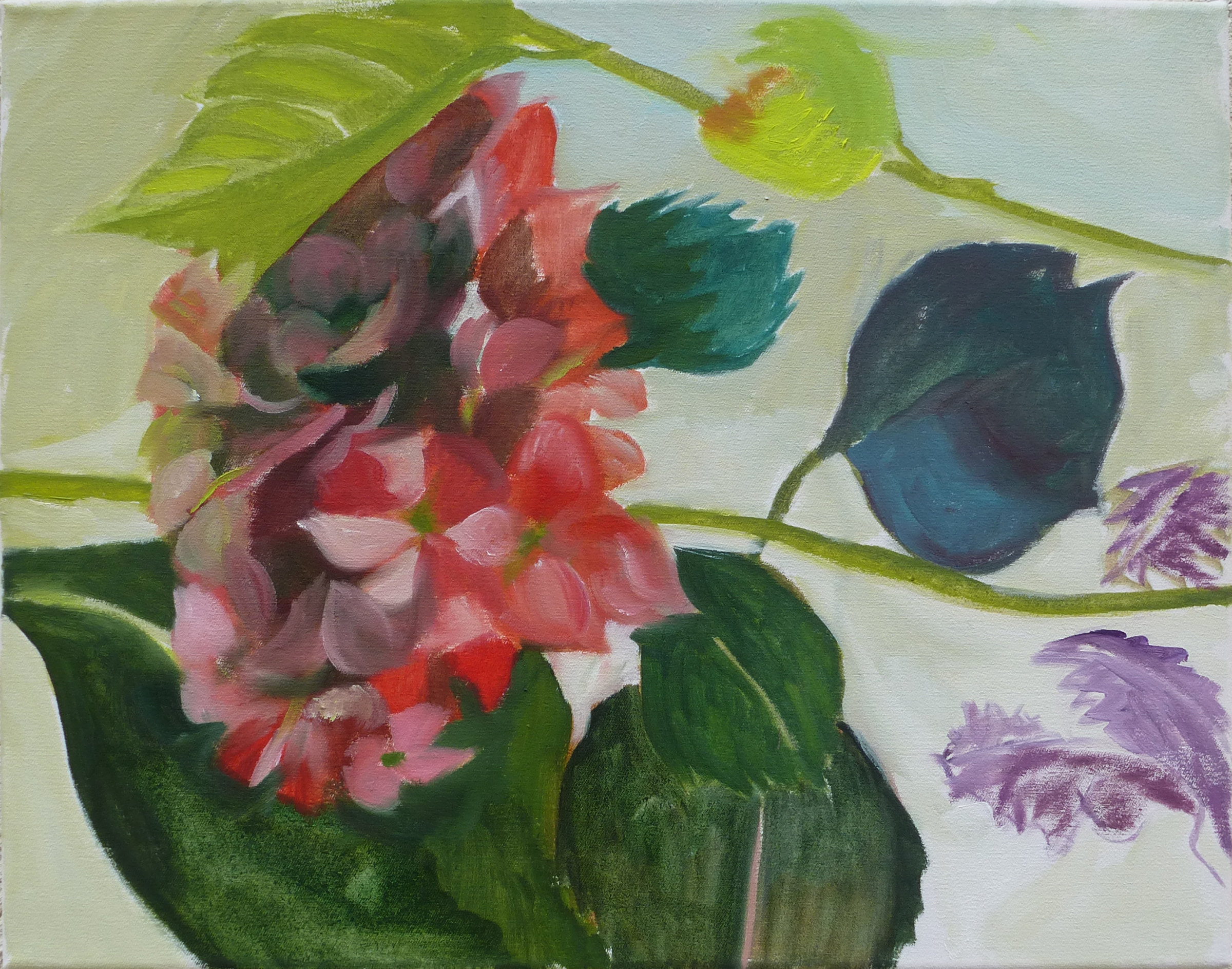 {Branche d'hortensia}, 2017
