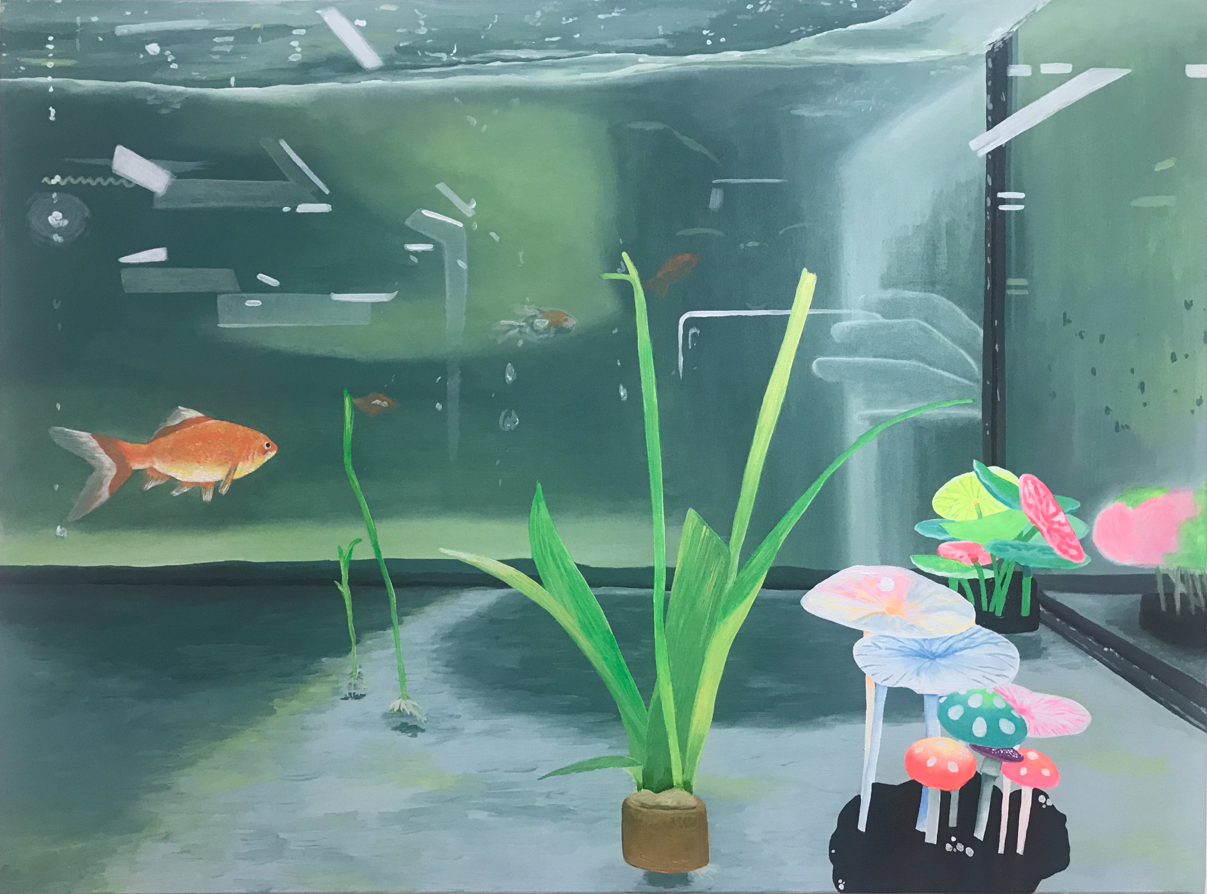 {La plastique d'un lac, magasin Truffaut, Saint-Denis}, 2019