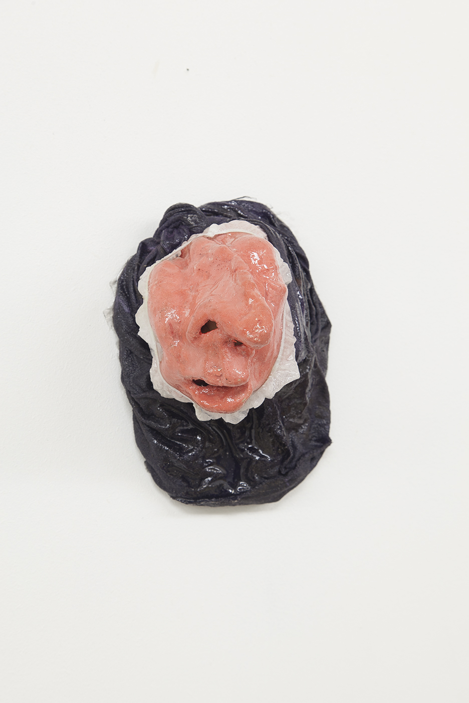 {peste noire (Wylie)}, 2017