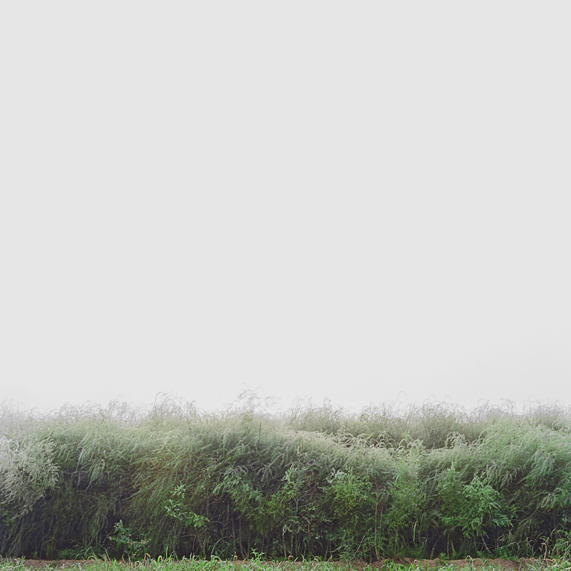 {Sans titre 2}