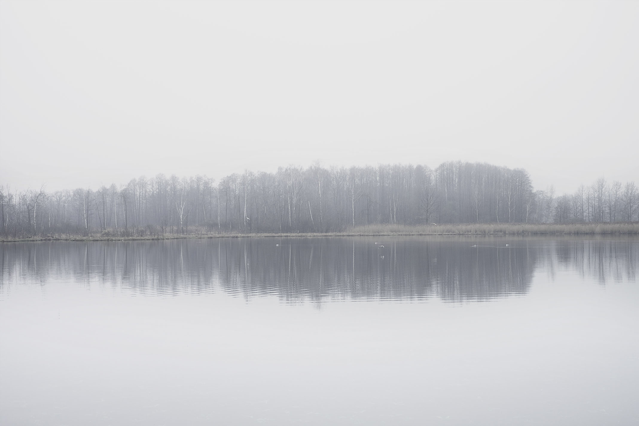 {Sans titre 10}