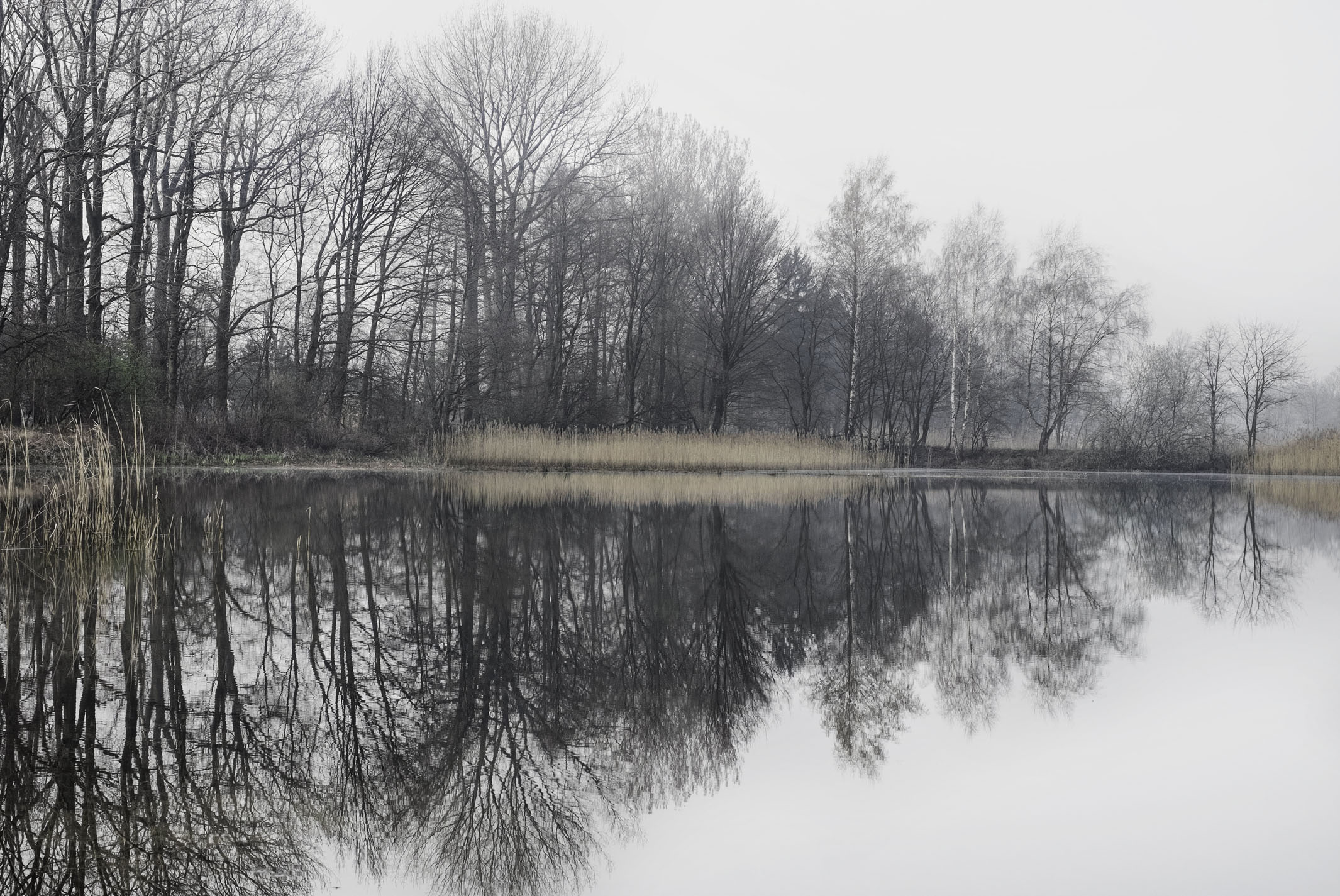 {Sans titre 12}