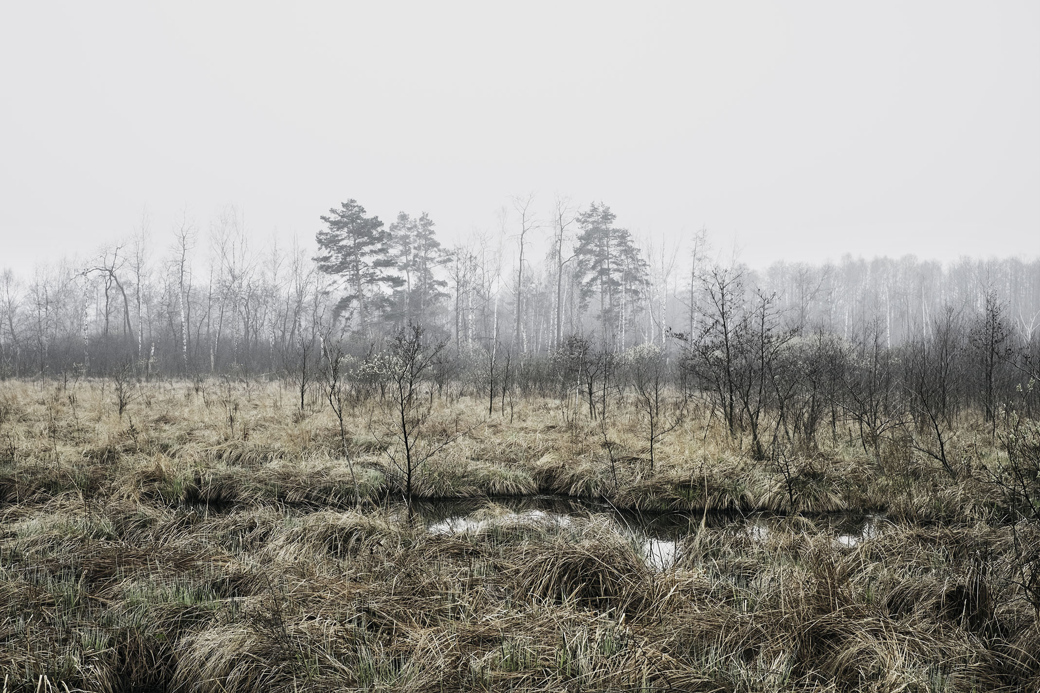 {Sans titre 8}