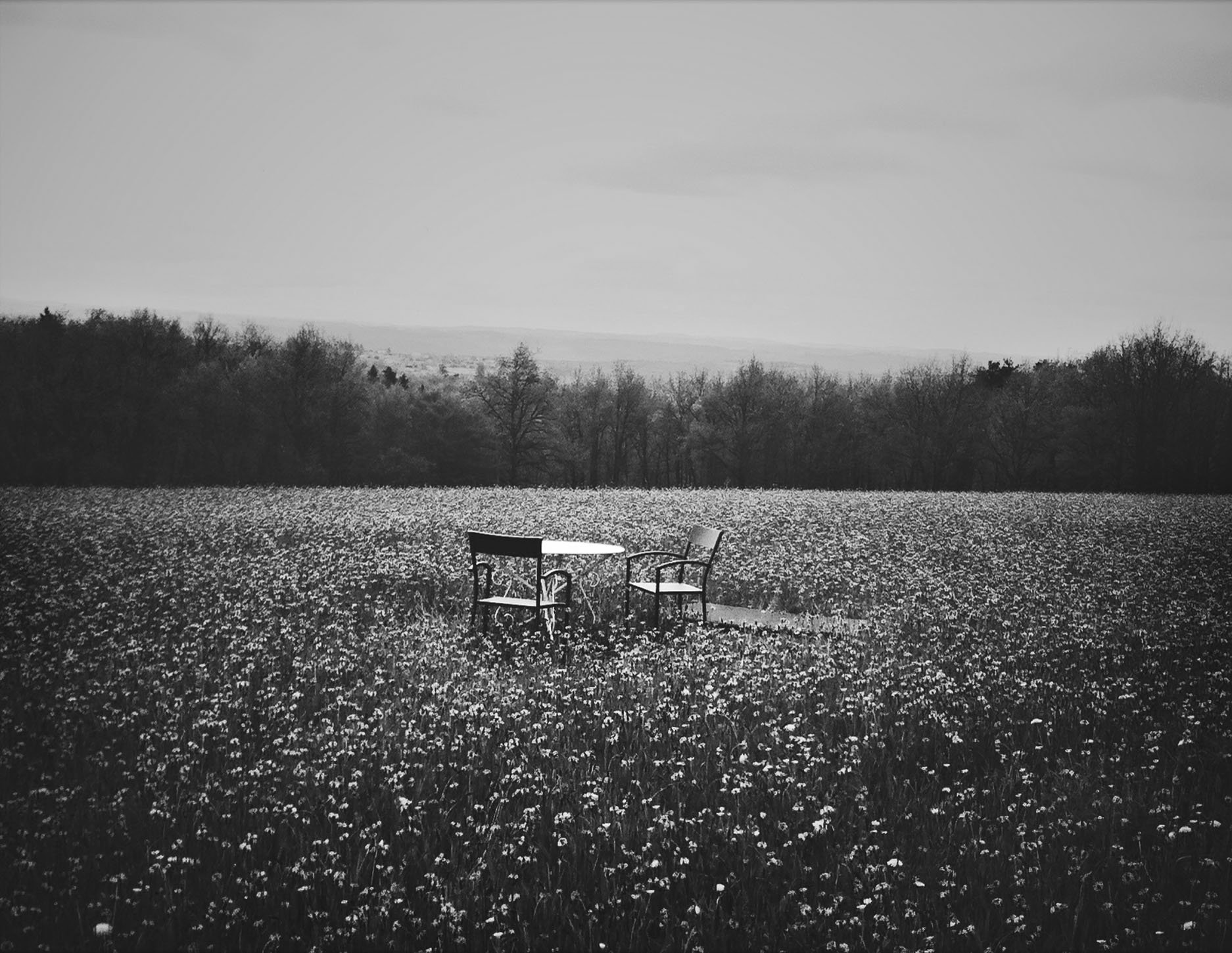 {Sans titre 21}