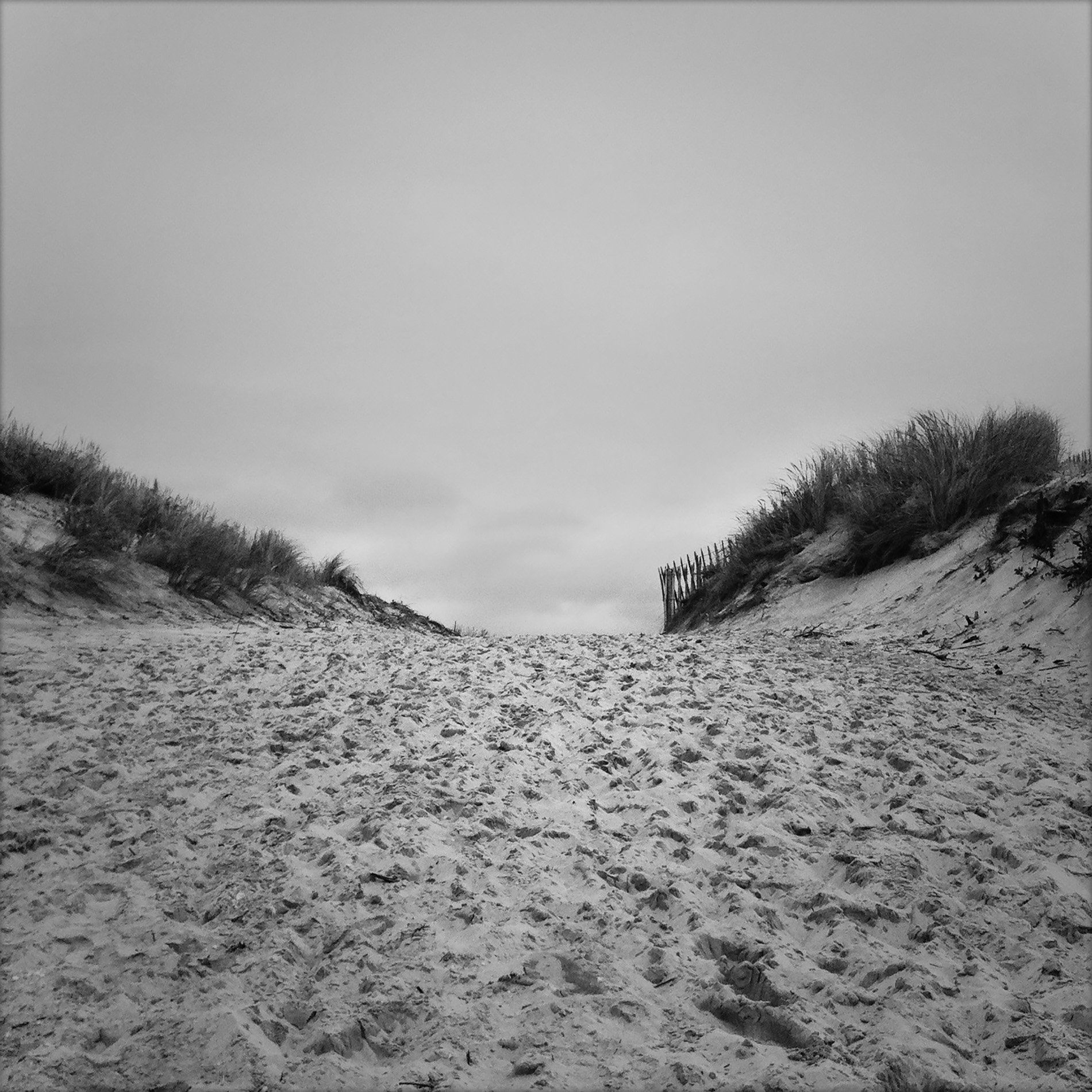 {Sans titre 33}