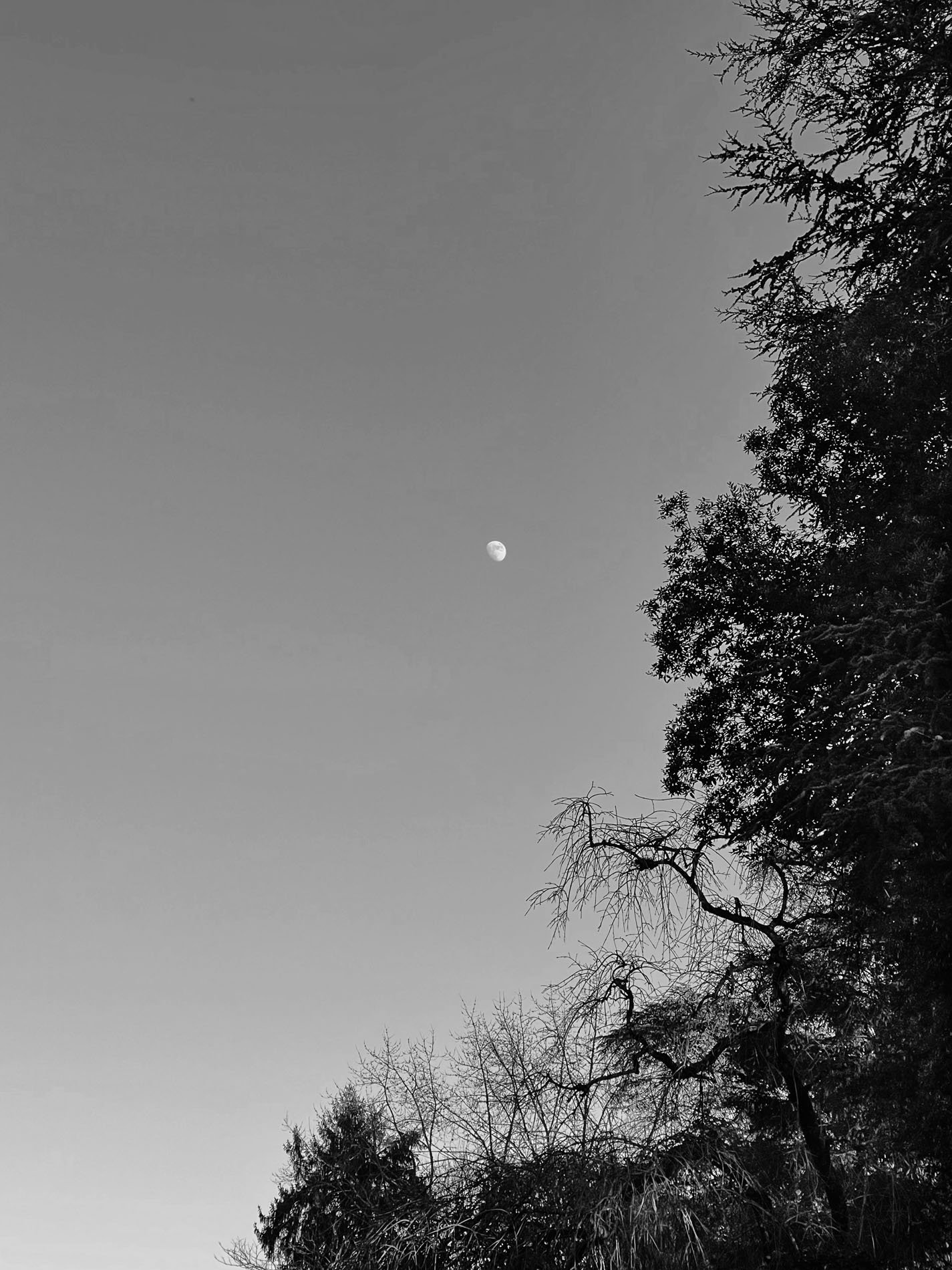 {Sans titre 7}