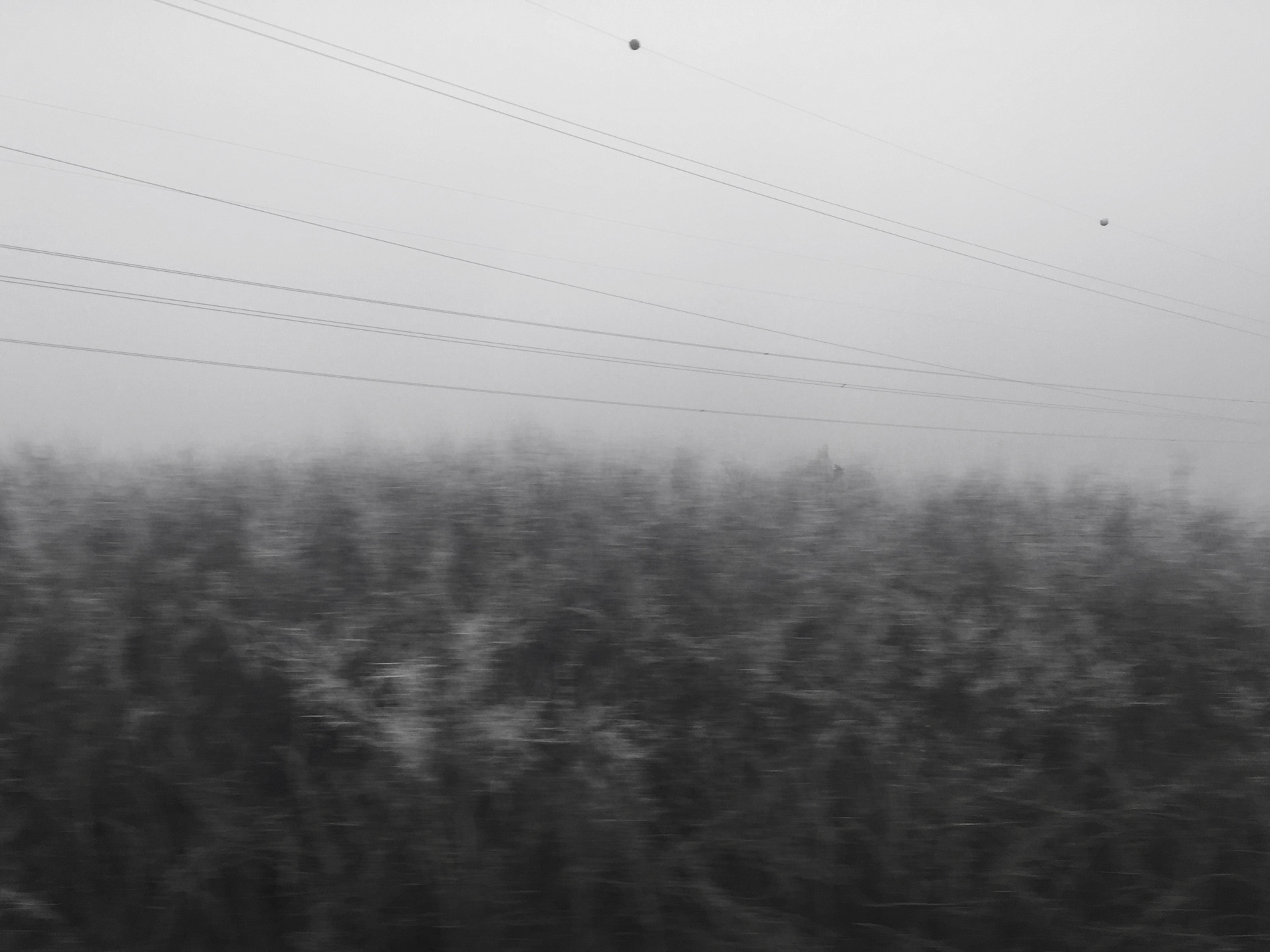 {Sans titre 5}