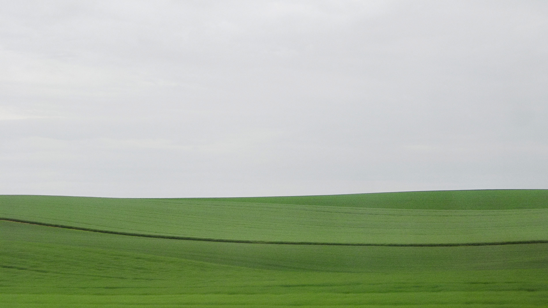 {Sans titre 1}, 2009