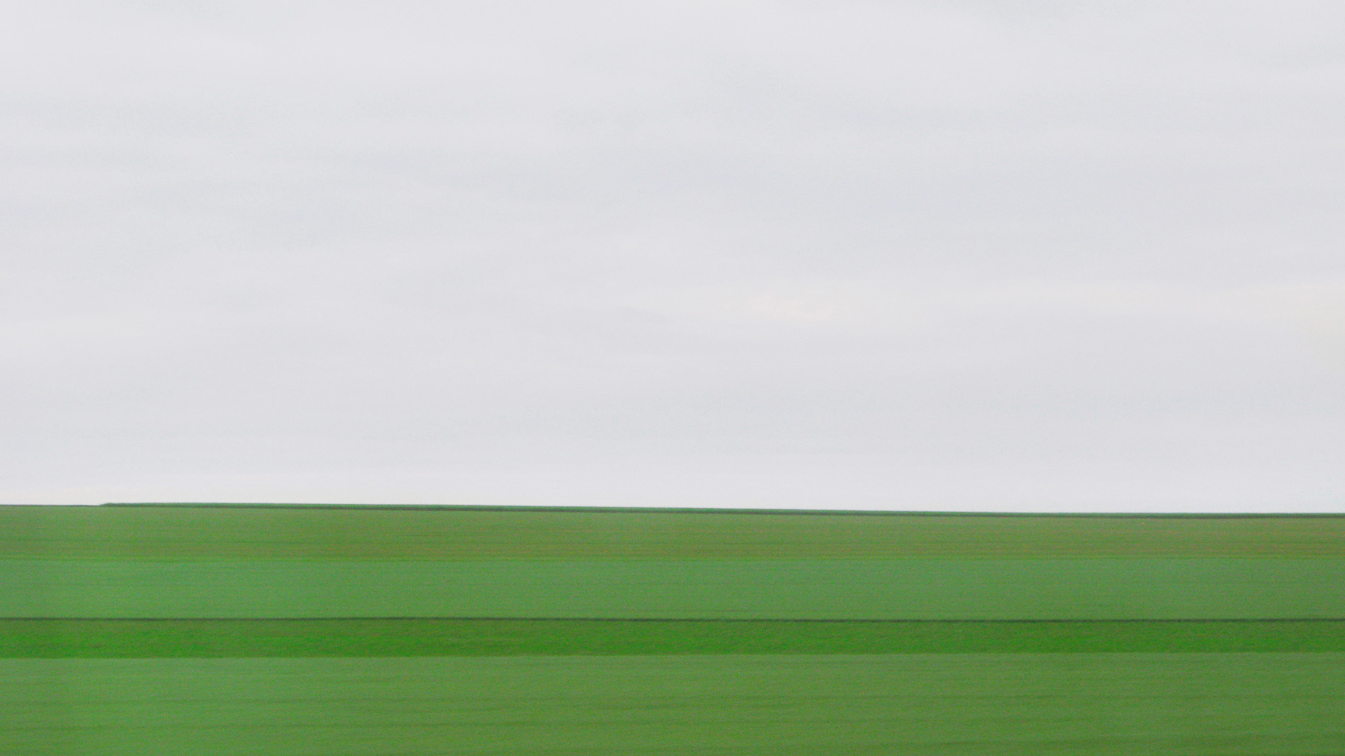 {Sans titre 2}, 2009