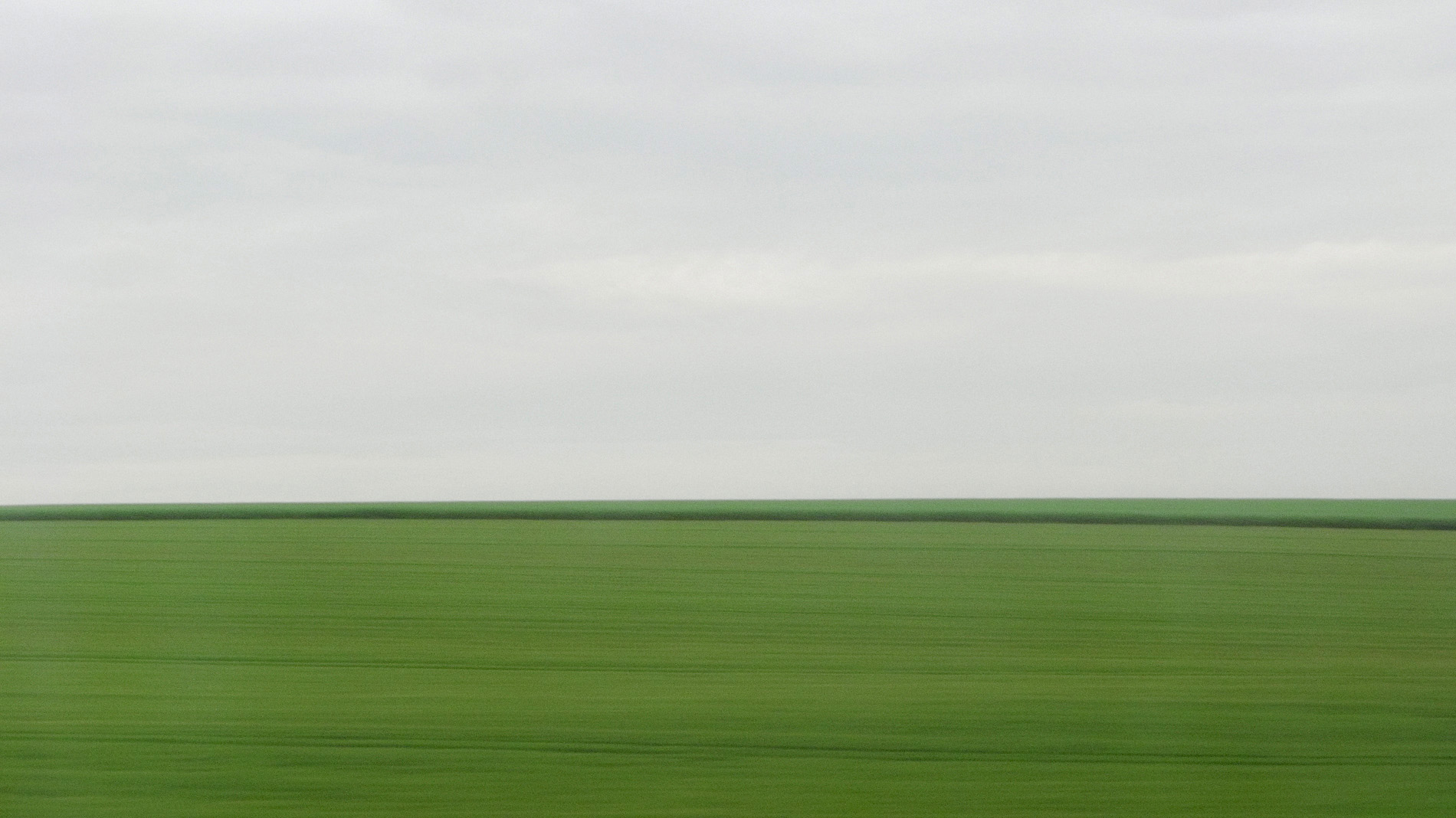 {Sans titre 4}, 2009
