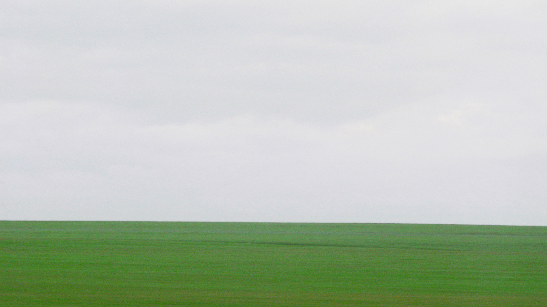 {Sans titre 6}, 2009
