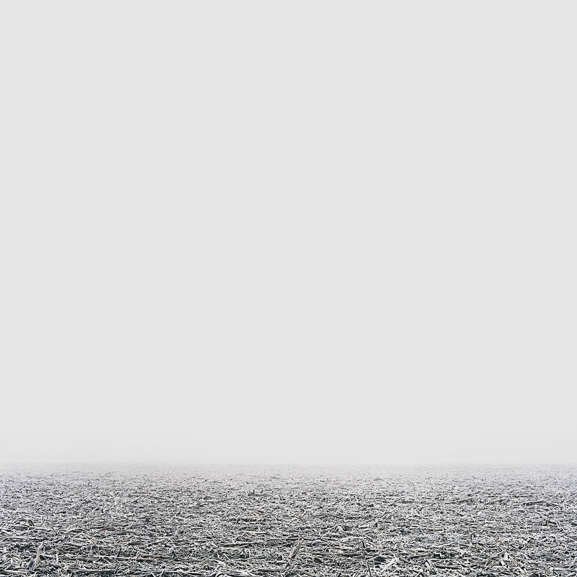 {Sans titre 1}