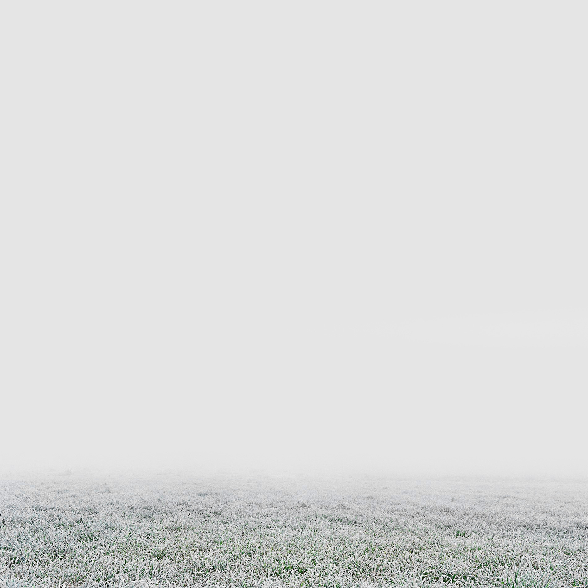 {Sans titre 3}