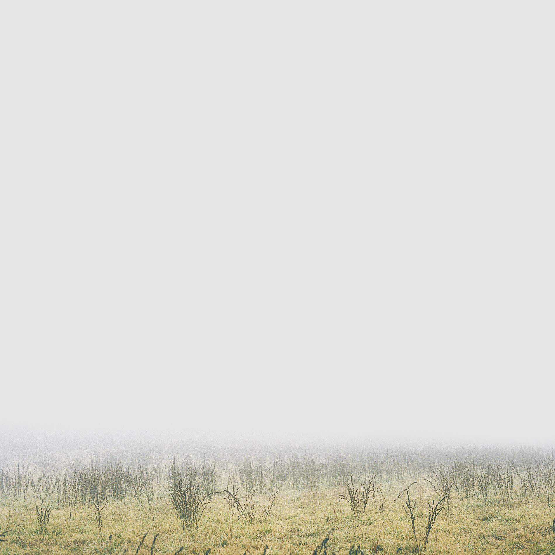 {Sans titre 10}