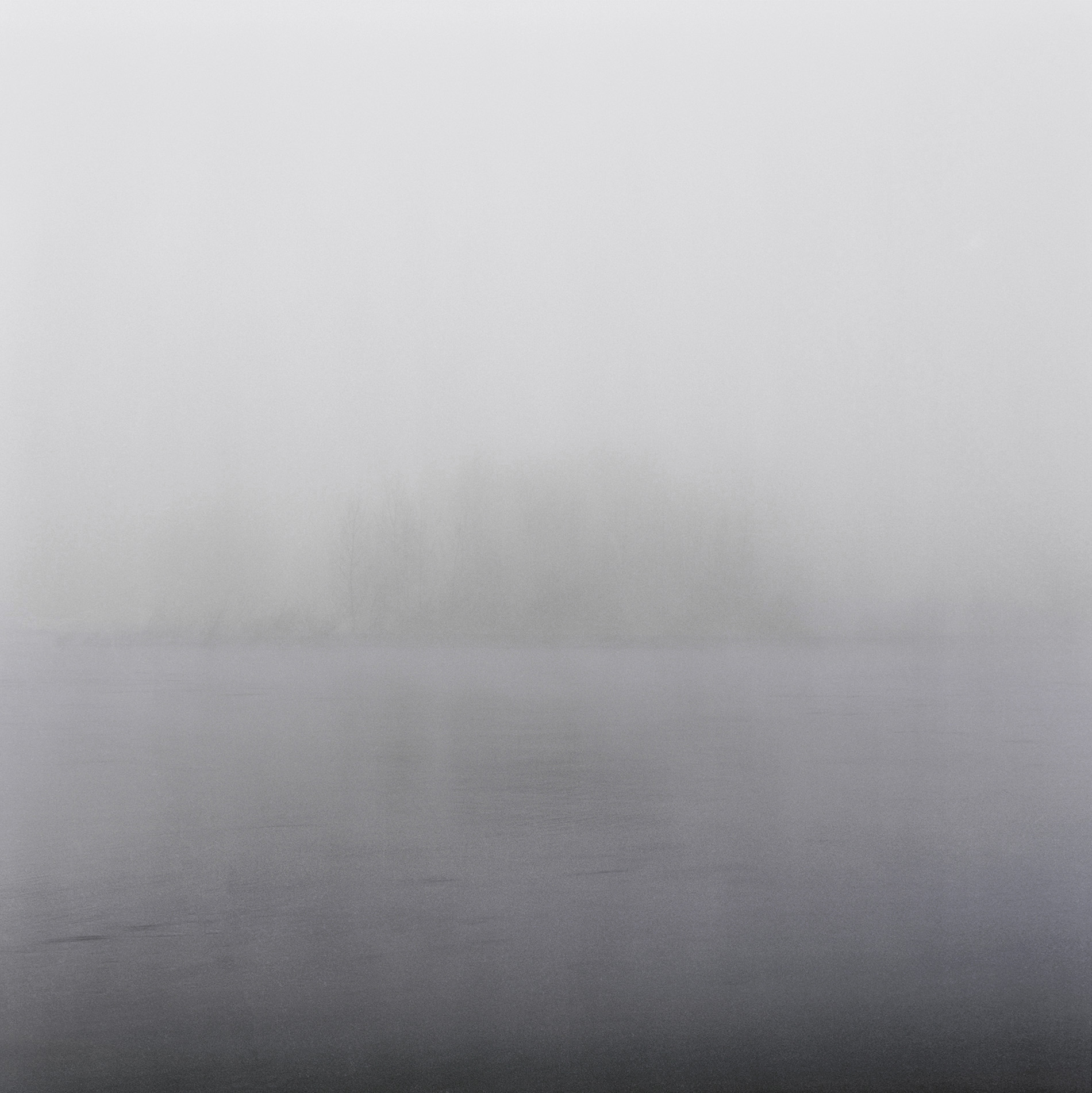 {Sans titre 1}, 2004