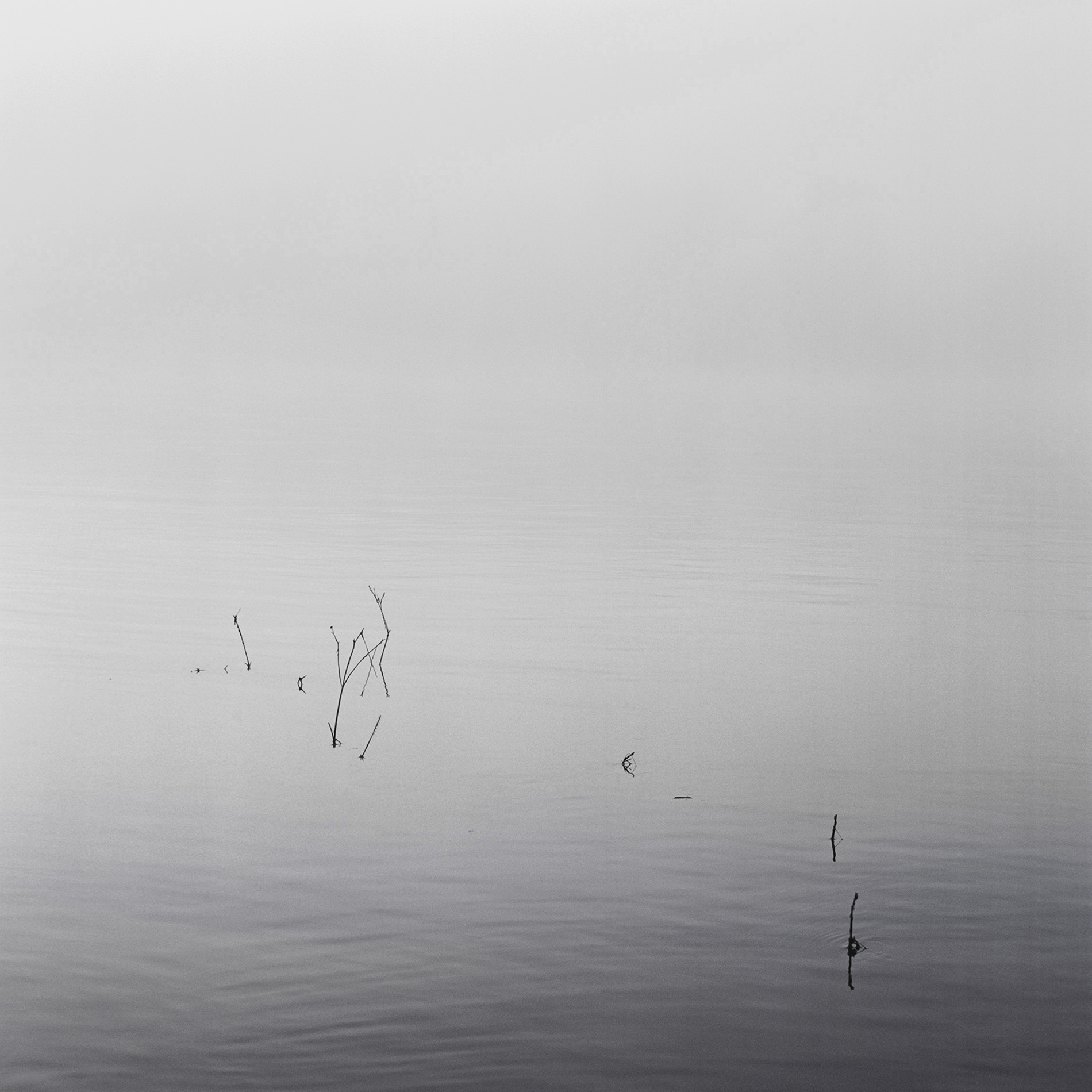 {Sans titre 2}, 2004