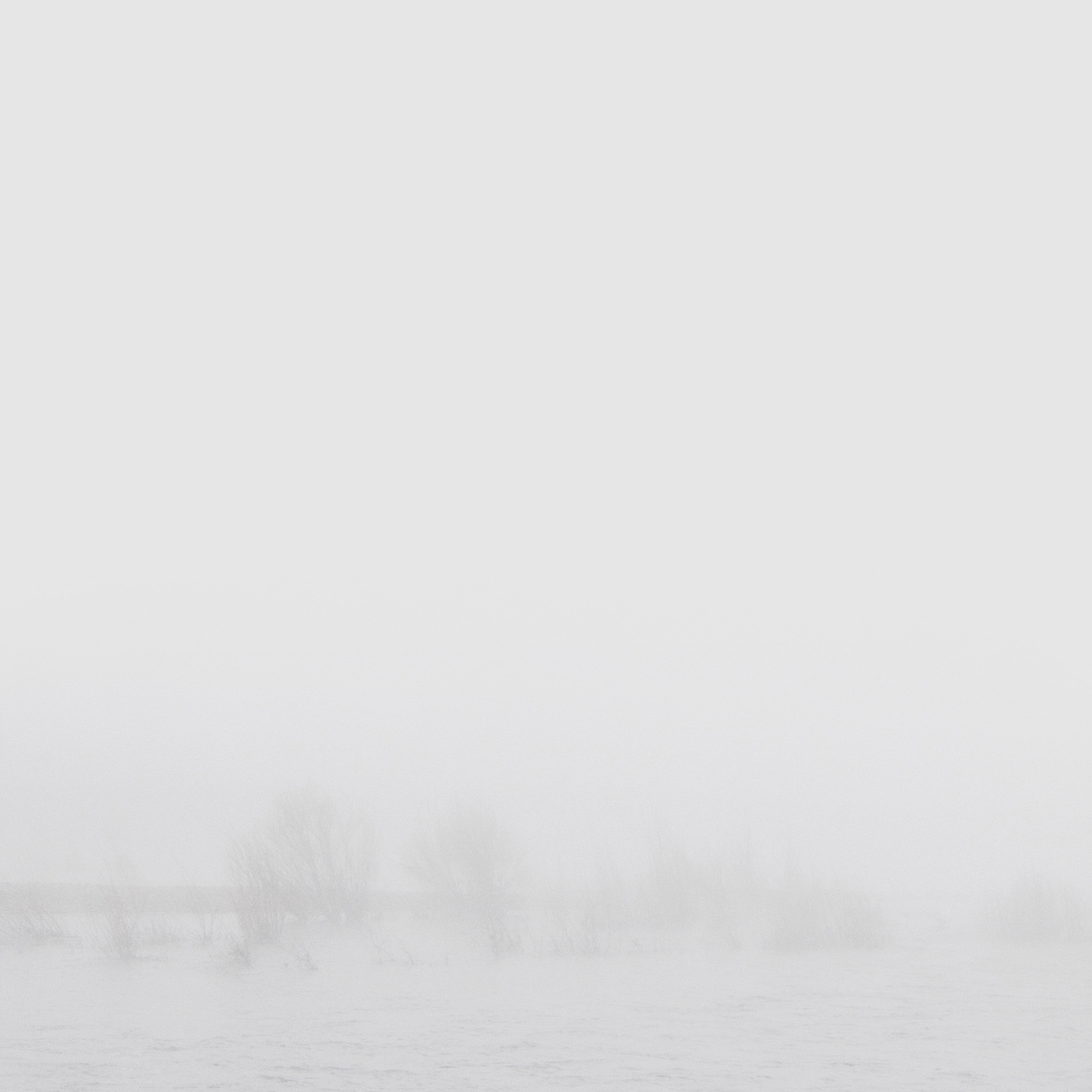{Sans titre 5}, 2007