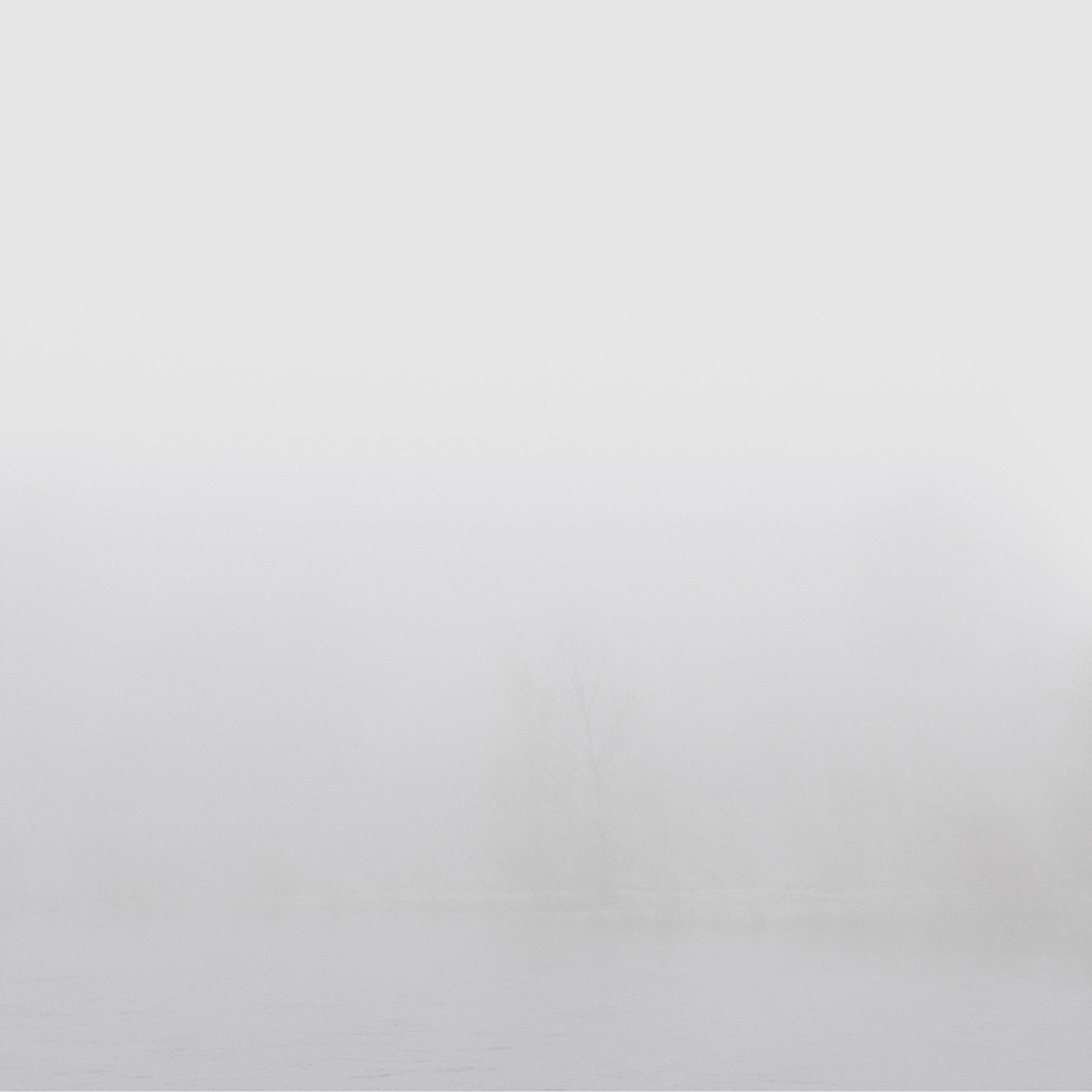 {Sans titre 6}, 2007