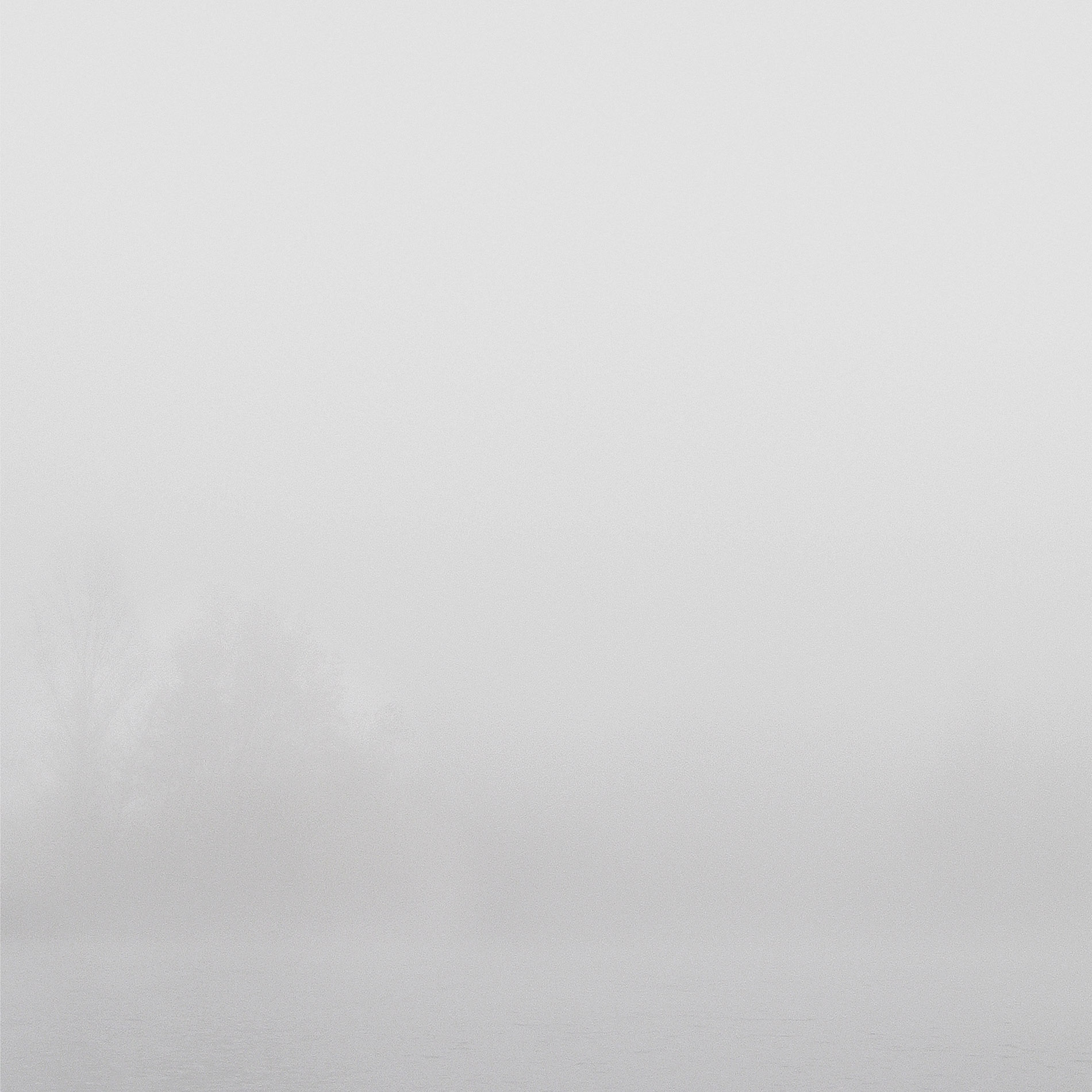 {Sans titre 7}, 2007