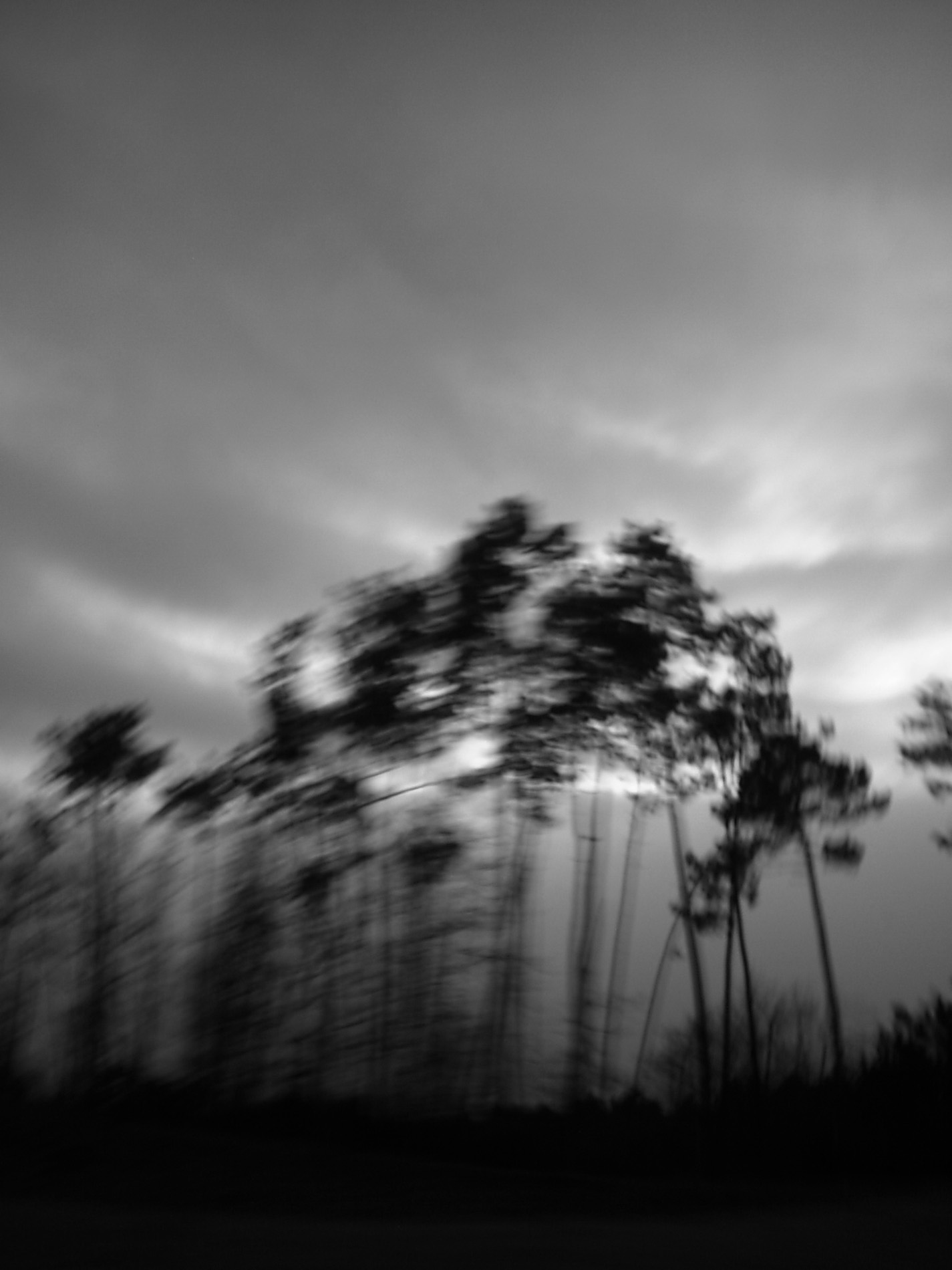 {Sans titre 14}
