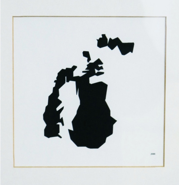 {Mer d'Aral}, 2010 (détail)