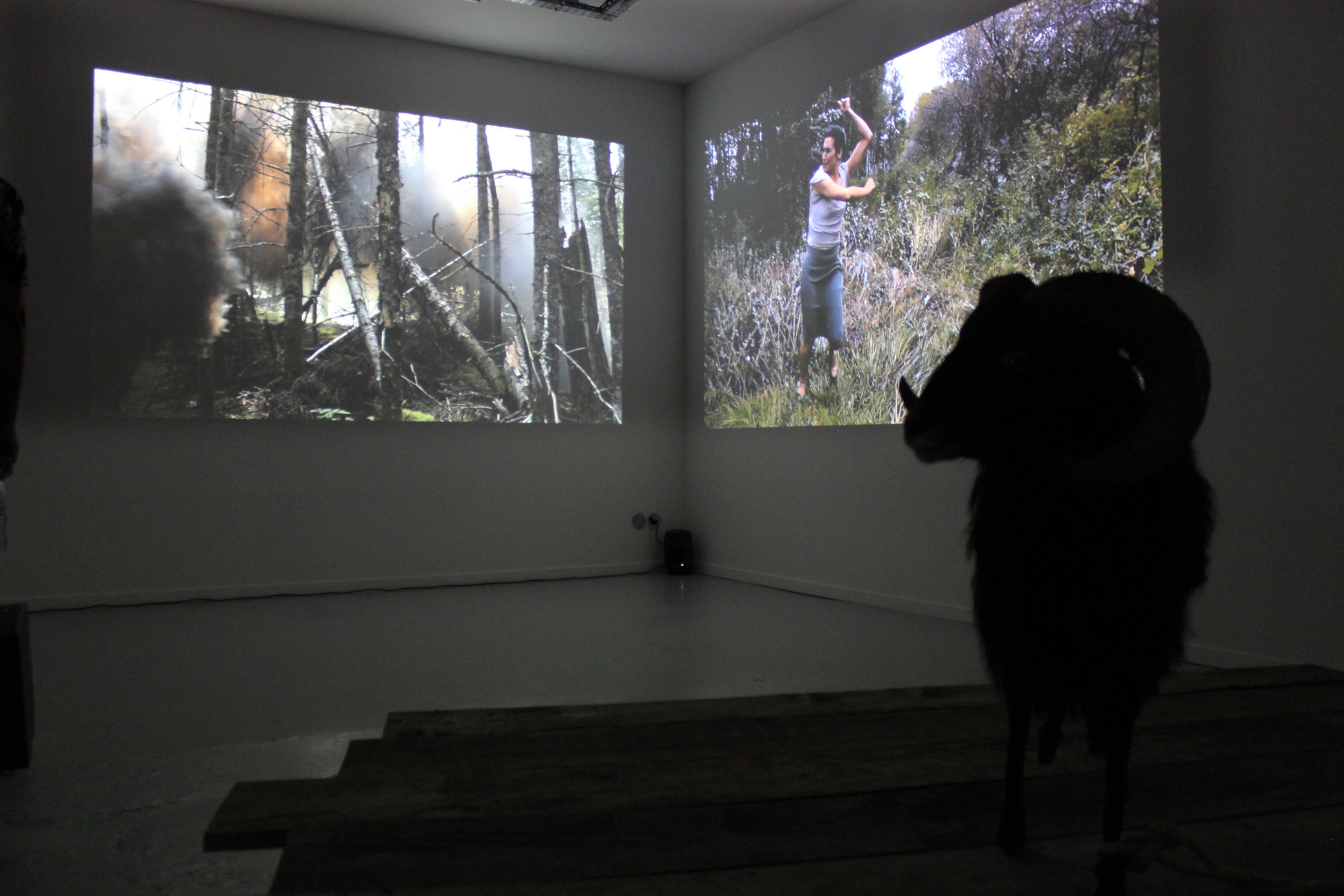 Entre chiens et loups, Progress Gallery, Paris, 2016