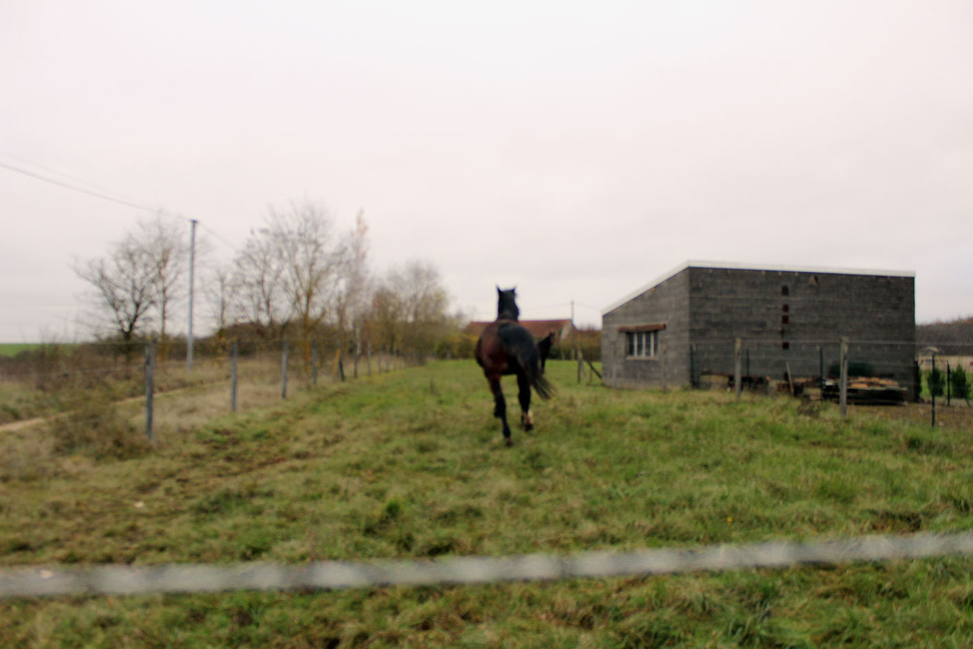 {Le bout du monde}, 2015