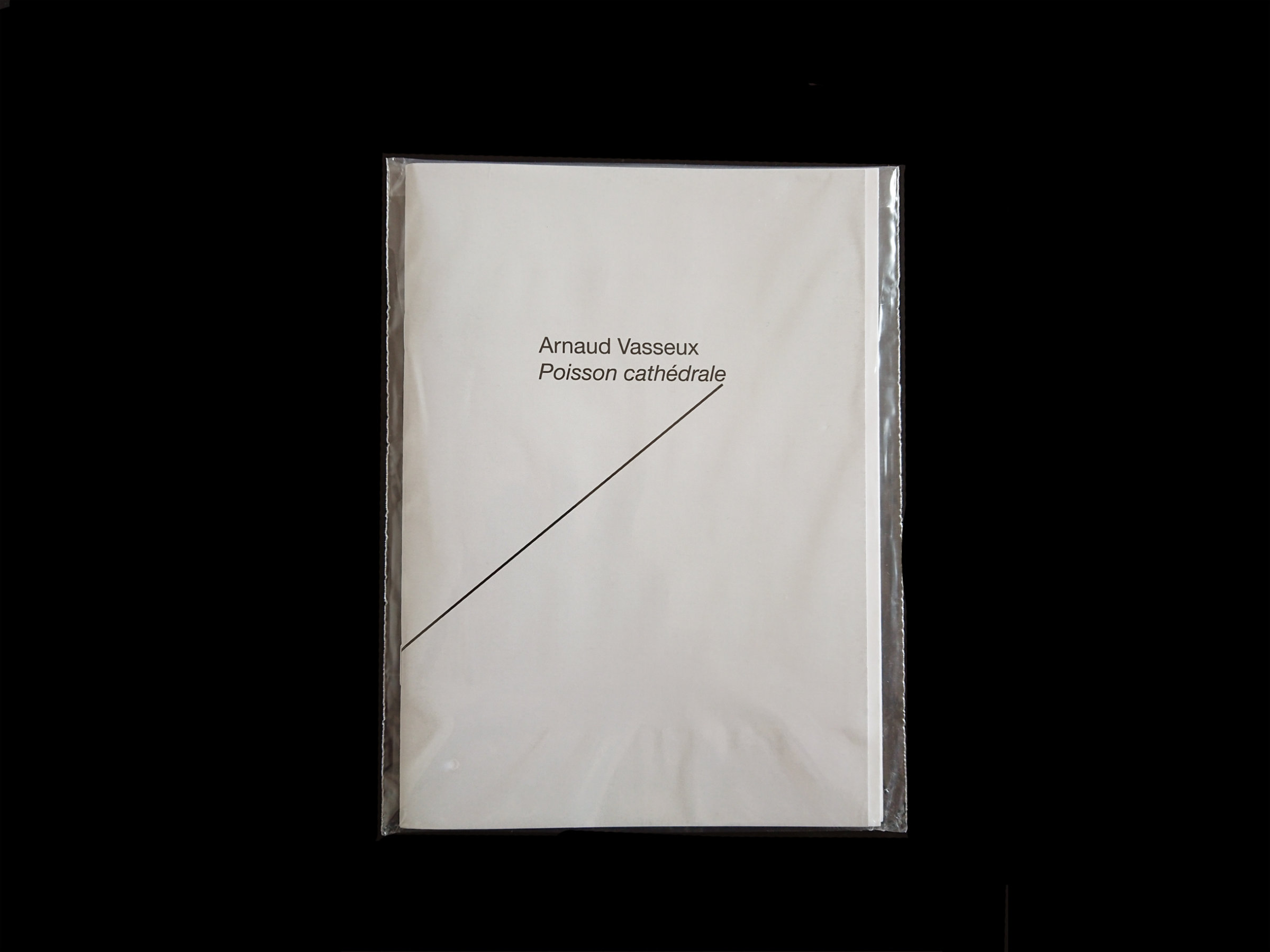 {Arnaud Vasseux, Poisson cathédrale}, 2021