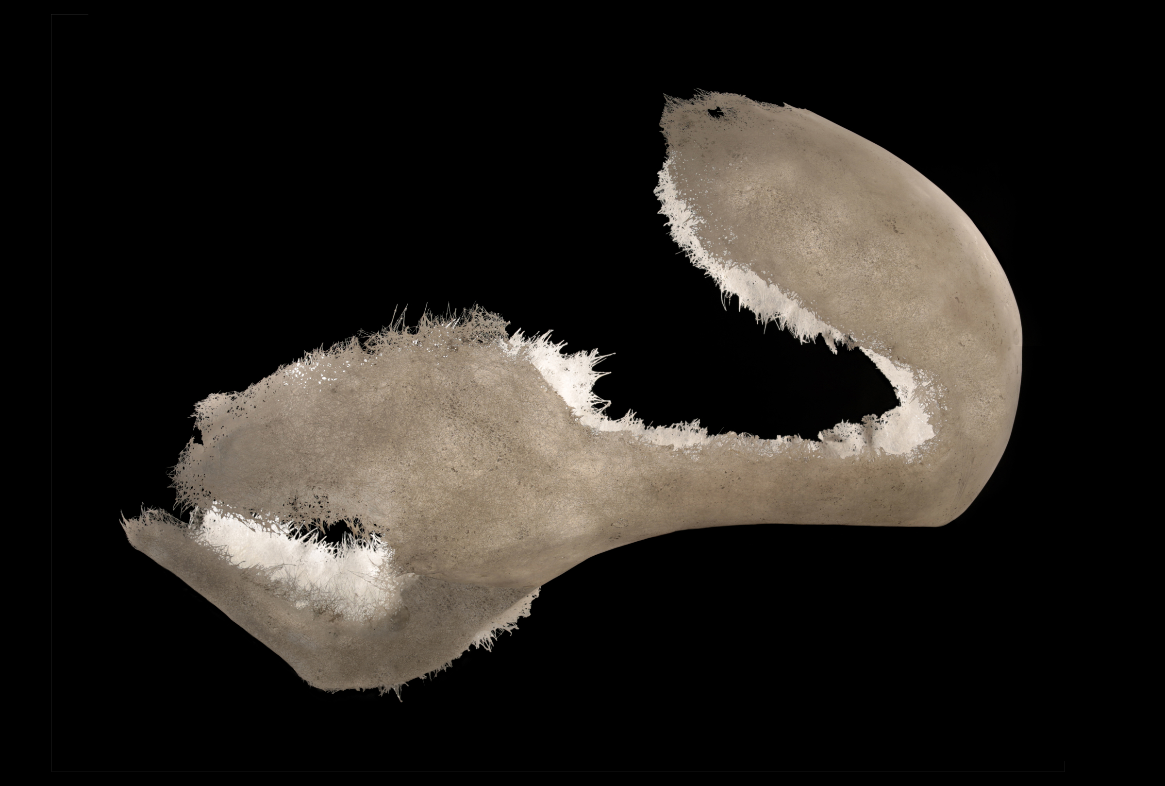 {Chrysalide}, 2015