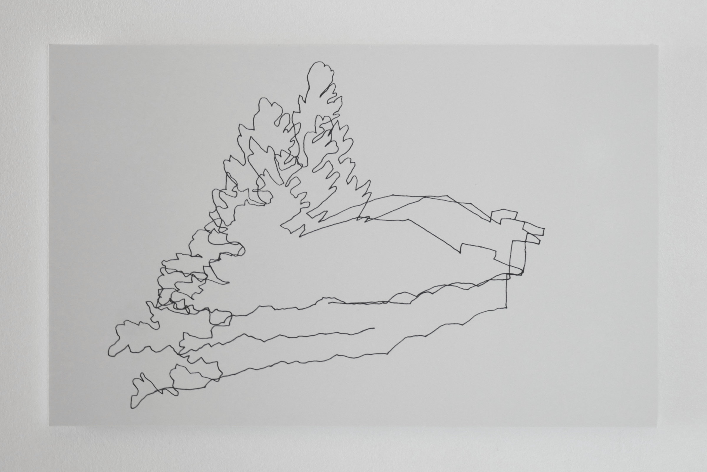 {Échos d'un îlot}, détail, 2010