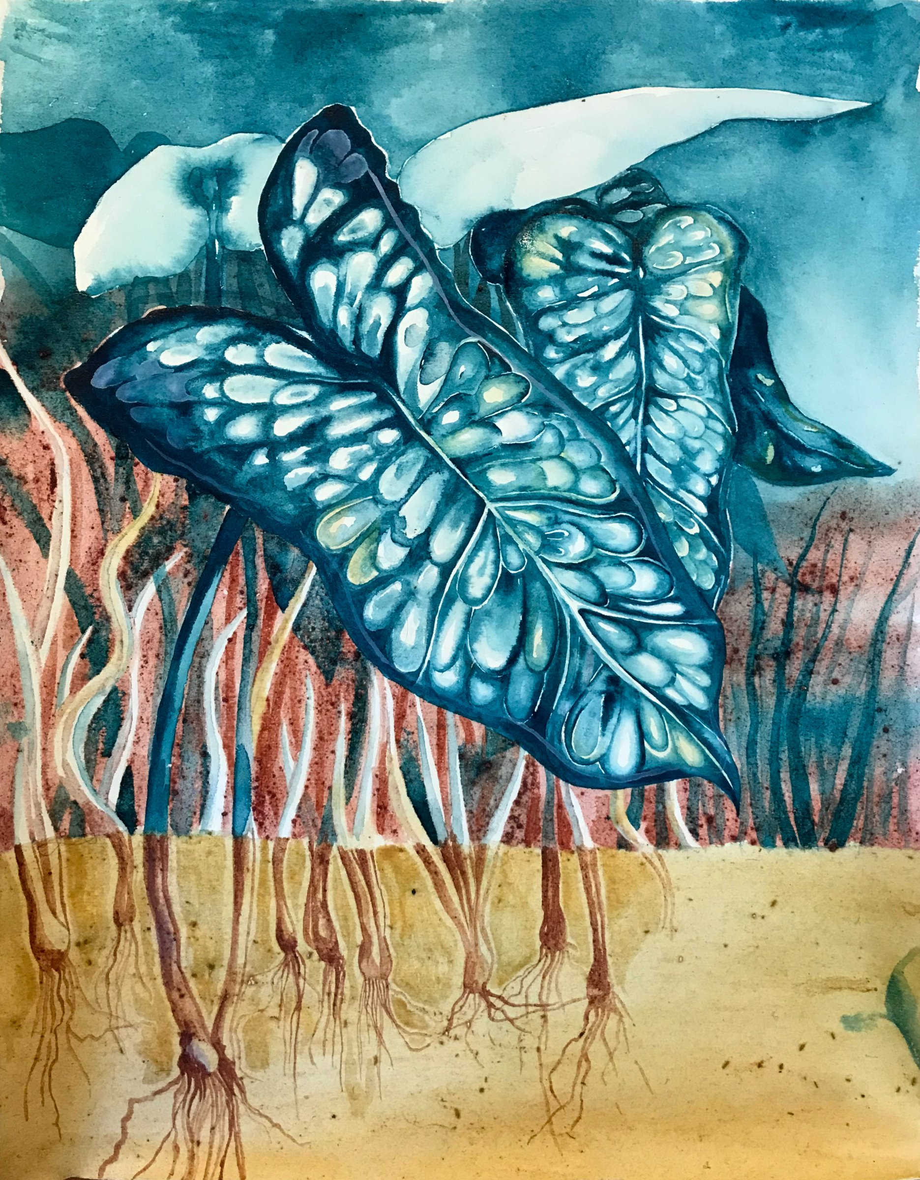 {La fosse aux arums}