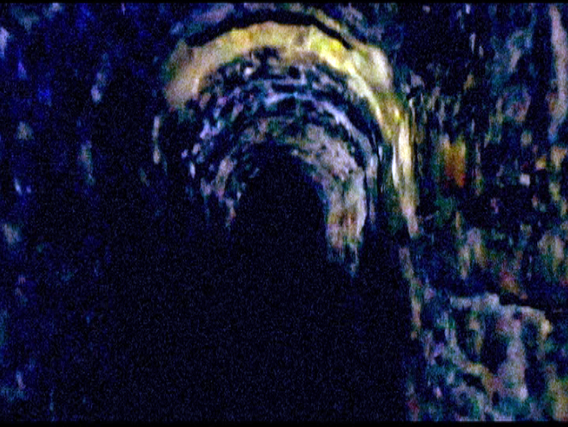 {Troglodyte}, 2023
